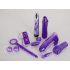 You2Toys - Purple Appetizer - komplet vibratorjev (9 kosov) 