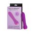 FemmeFunn Ultra Bullet - polnilni vibrator za drogove Premium (vijolična) 