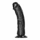 RealRock Curved - ukrivljeni realistični dildo z lepljivimi nogami - 15,5 cm (črn) 